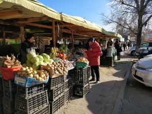 Fruit-market stop in Mongolia