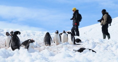 antarctica expedition