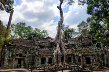 Cambodia open to tourism by October
