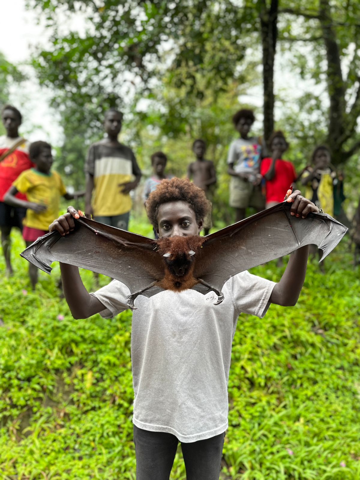 Bougainville tours