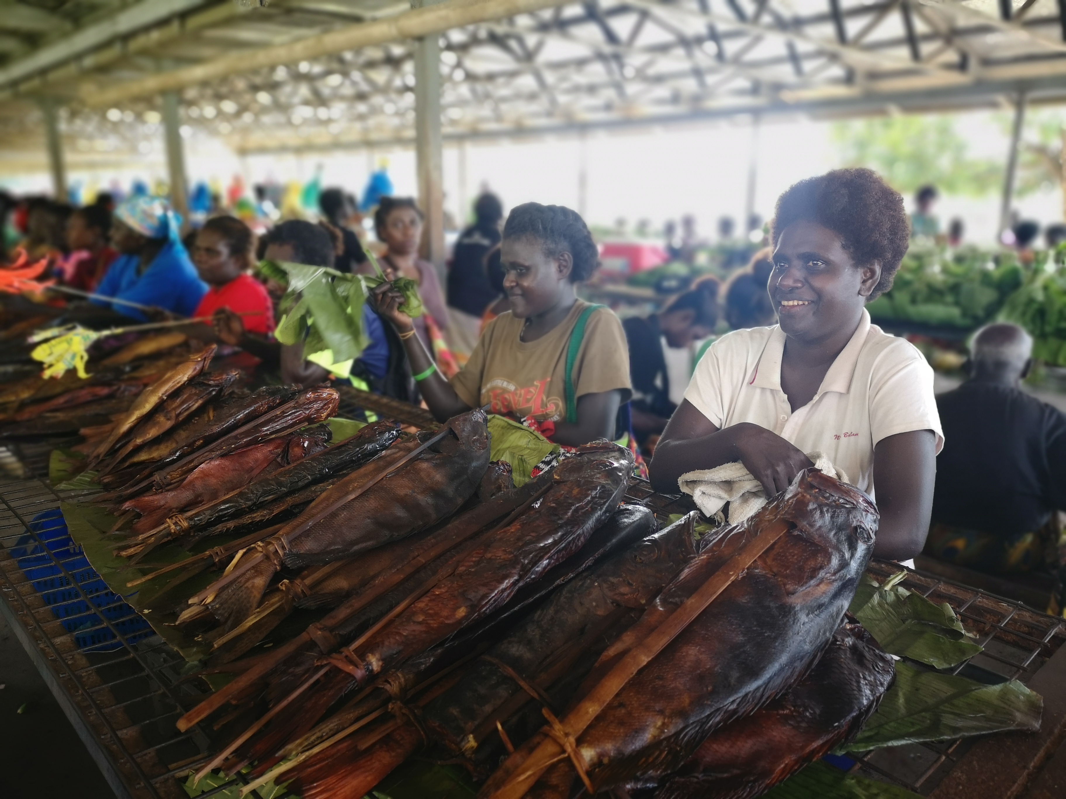 Bougainville Guide 