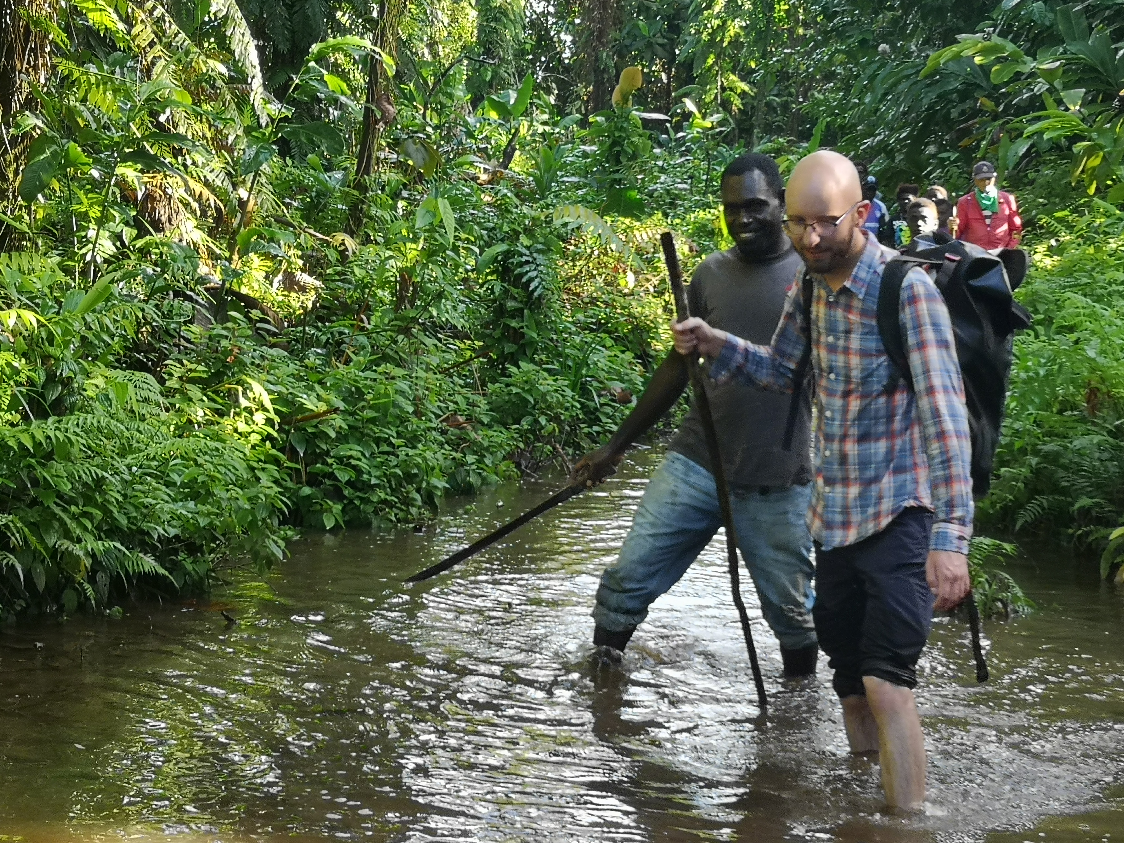 Bougainville Guide