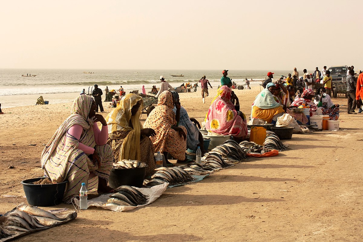 5 reasons to go to Mauritania — Young Pioneer Tours