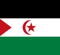 Flag of the Sahrawi Arab Democratic Republic