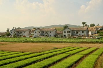 A view of country houses and fields in Anju County, North Korea