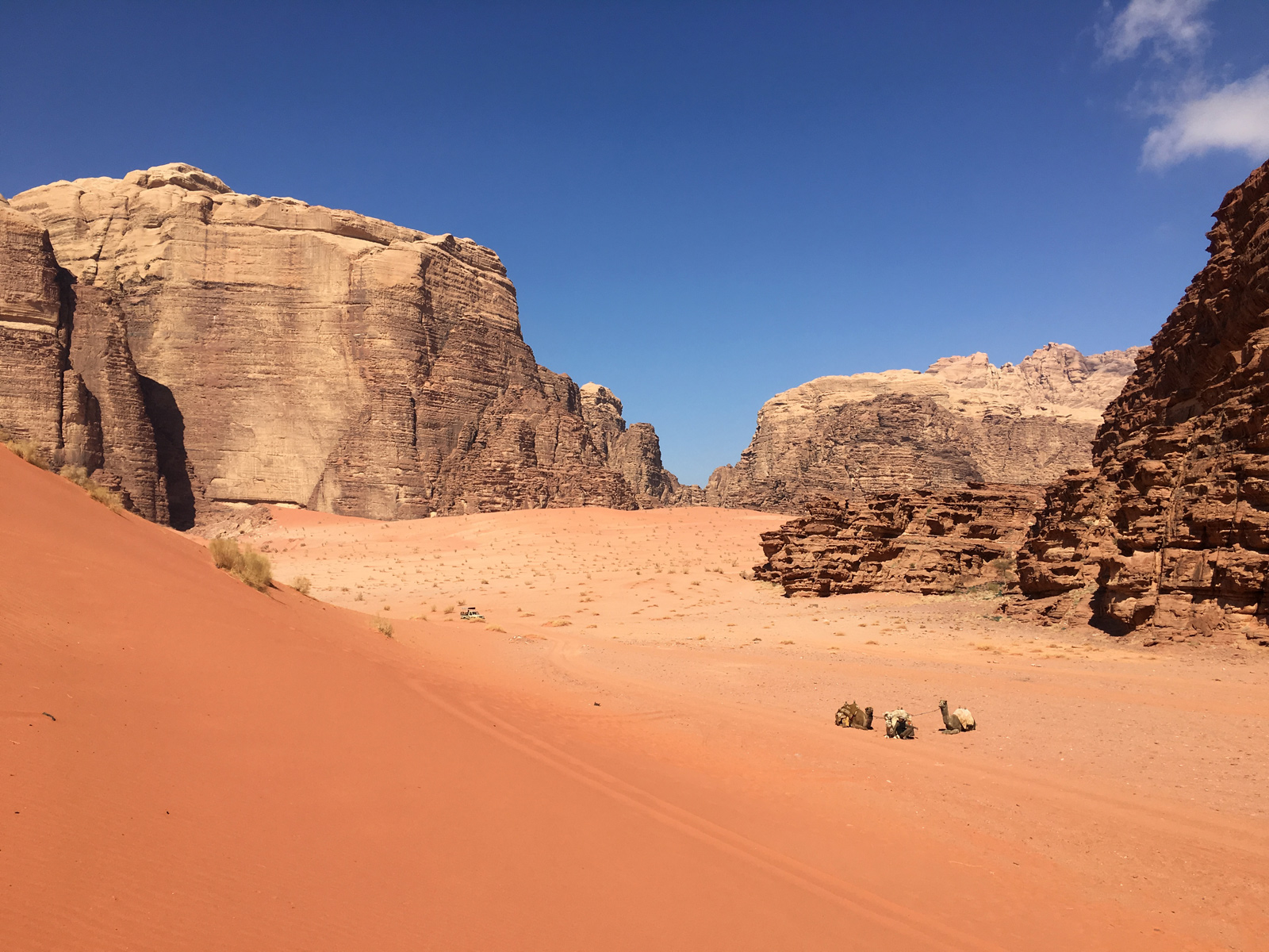 Colours of Wadi Rum - Jordan Tours 