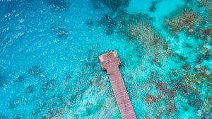 The Brando, French Polynesia