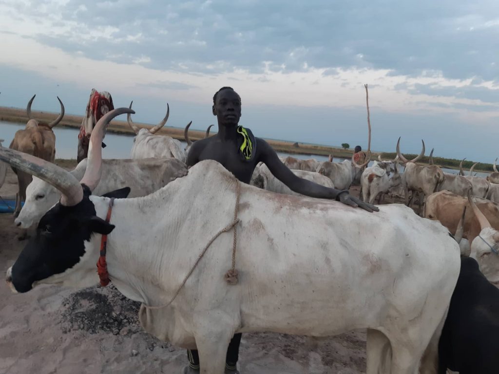 south sudan herder