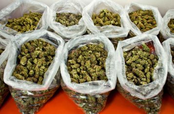 Large bags of weed (not from North Korea)