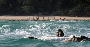 A far shot of the North Sentinel Island tribespeople standing on the beach. 