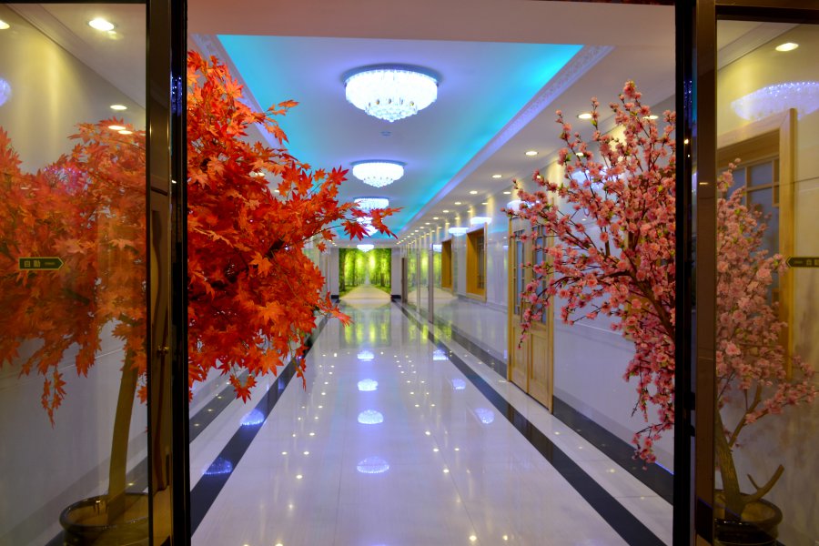 Pothonggang Hotel Hallway