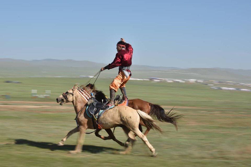 A rider stands atop two galloping horses in the run-up to a Mongol horse race.
