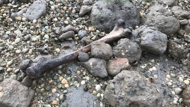 World's worst islands: a femur on Deadman's Island, England. 