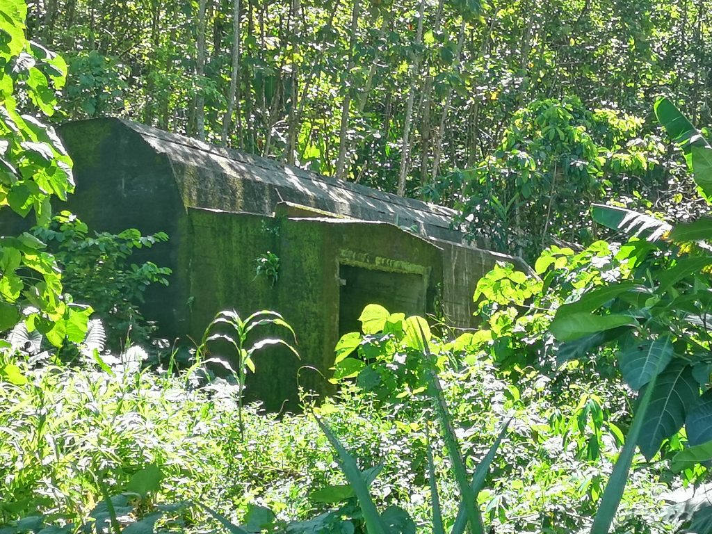 A Japanese bunker by Kunde beach, not far from Admiral Yamamoto's plane crash site