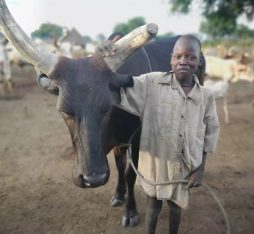 A mundari boy standing proud next to his cow