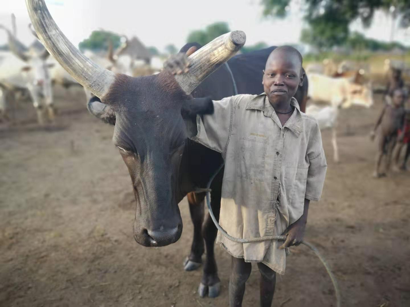 A mundari boy standing proud next to his cow