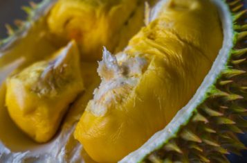 A close-up shot of freshly-opened durian.