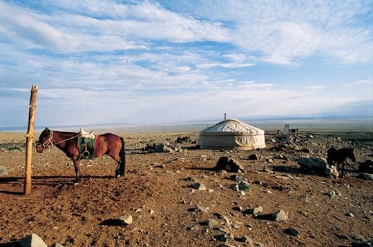 A horse stands in front of a nomad's ger (yurt) in the Gobi Desert. 