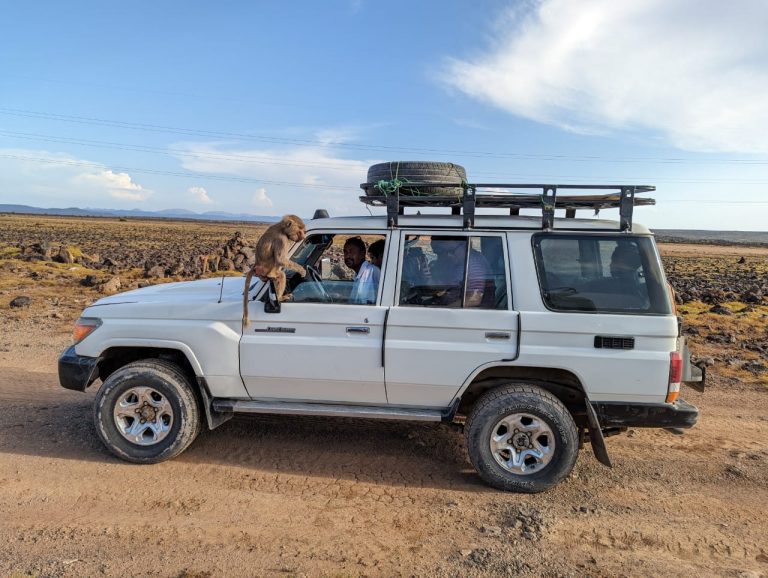 Djibouti Tours and Travel – 2024 – 2025 — Young Pioneer Tours