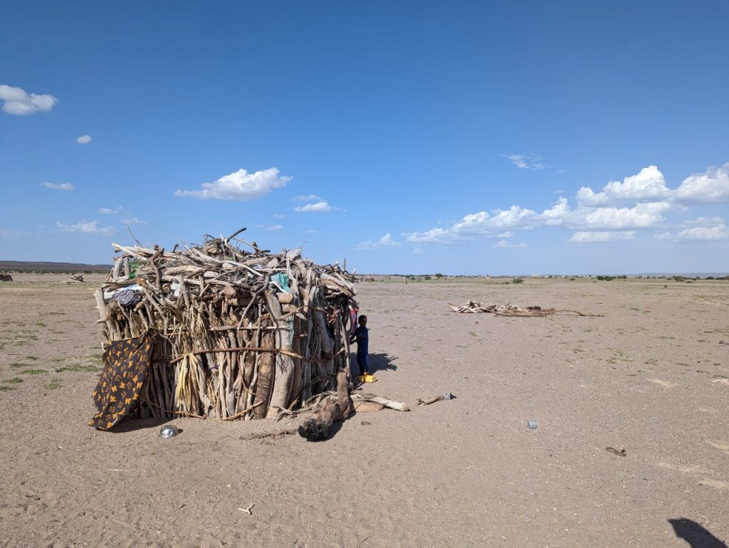Djibouti Tours and Travel for 2025 and 2026 — Young Pioneer Tours