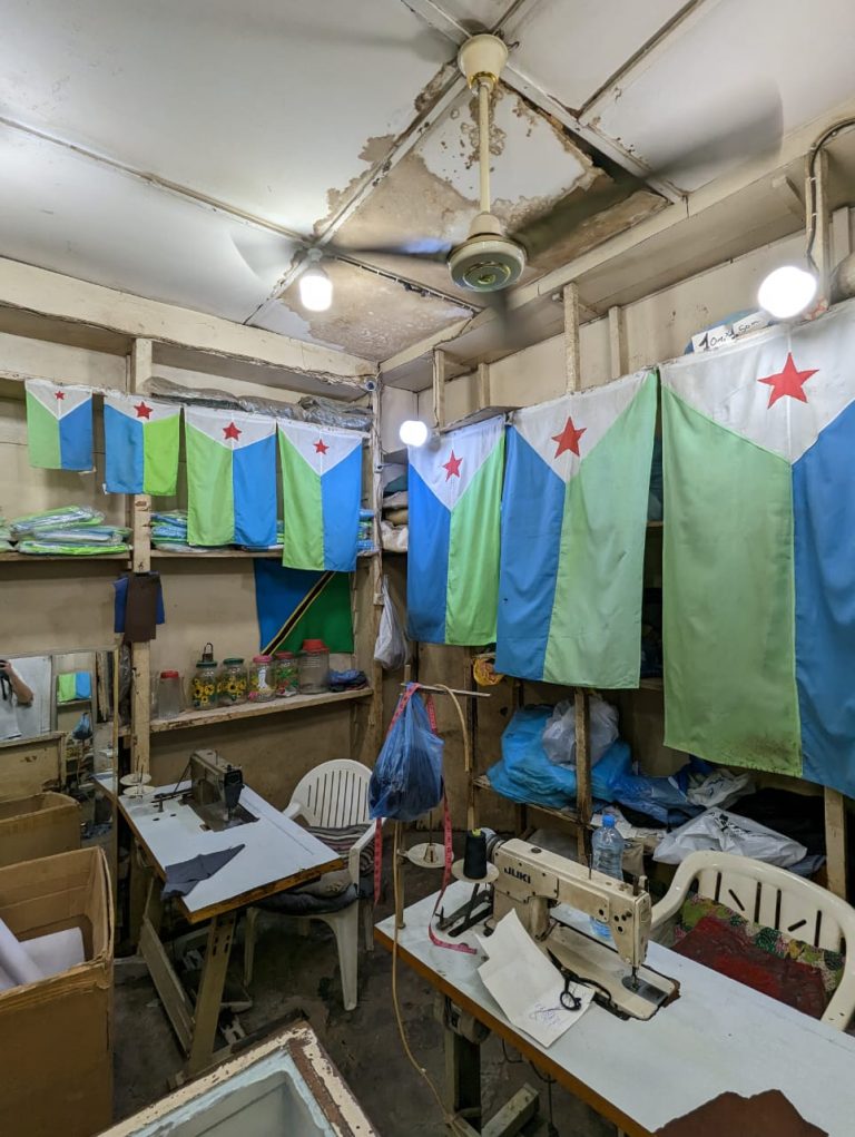 Djibouti Tours and Travel – 2024 – 2025 — Young Pioneer Tours