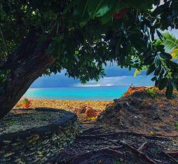 Peering at the Tuvalu coast