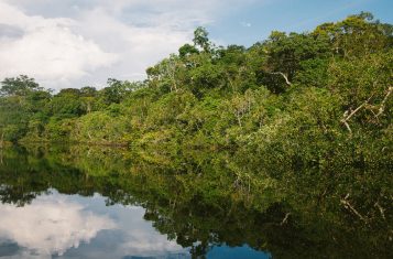 things to do in ecuador