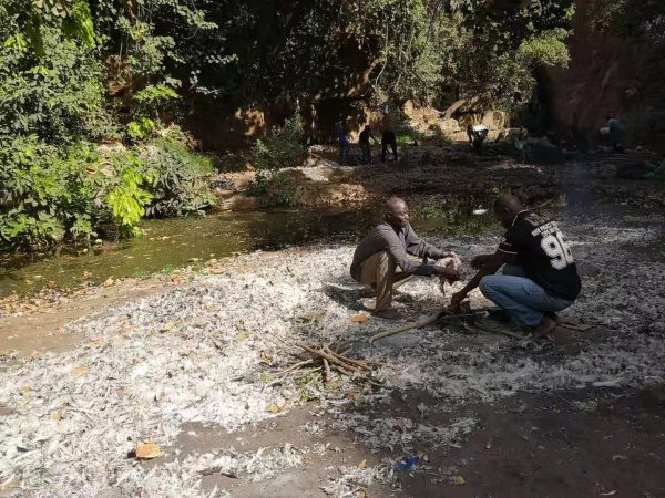 Preparing a chicken for sacrifice in Dafra