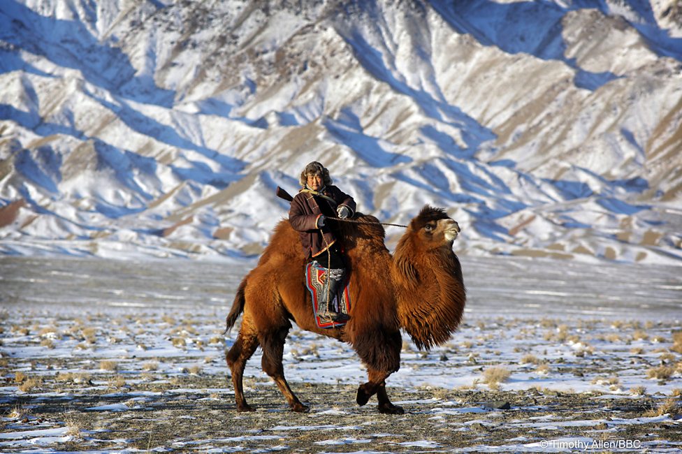 Gobi desert in snow