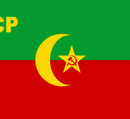 The flag of the Bukhrana People's Soviet Republic