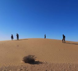 Our group walking around the dunes near Laayoune