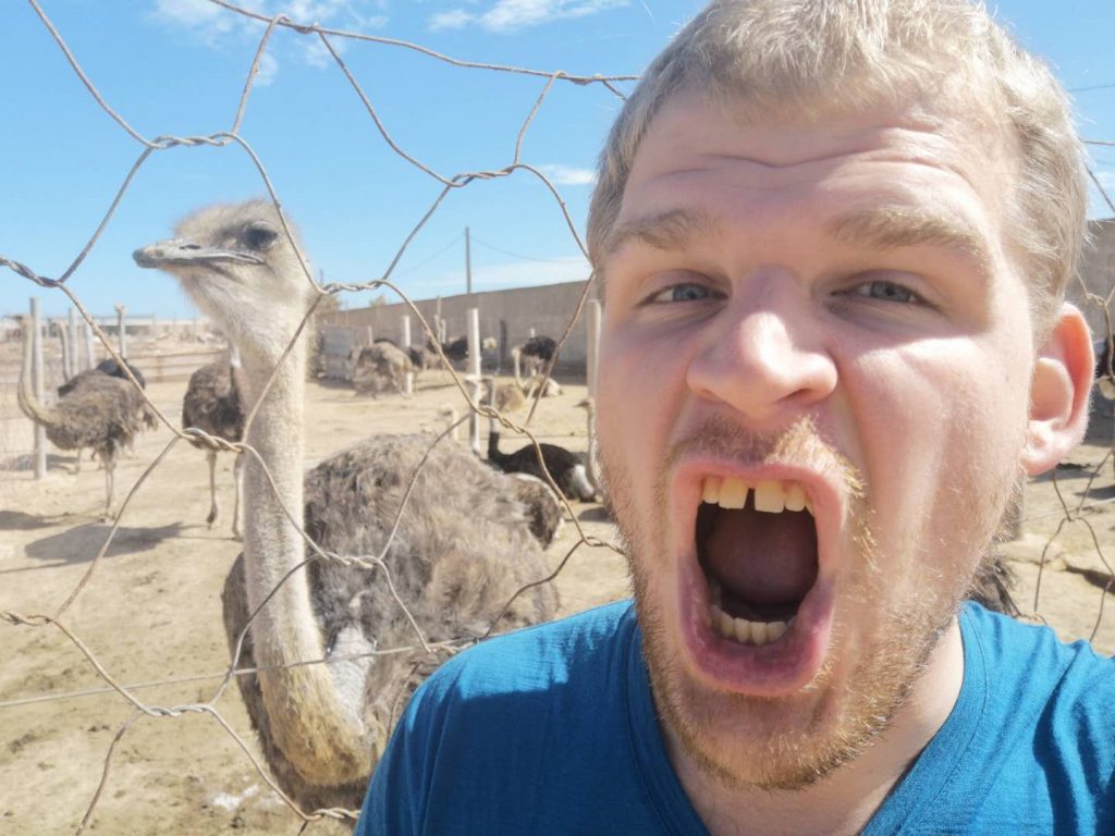 A thing to do in Western Sahara, visiting the Ostrich farm