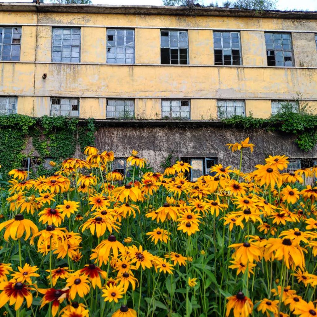 Abandoned factory