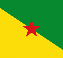 the flag of French Guiana