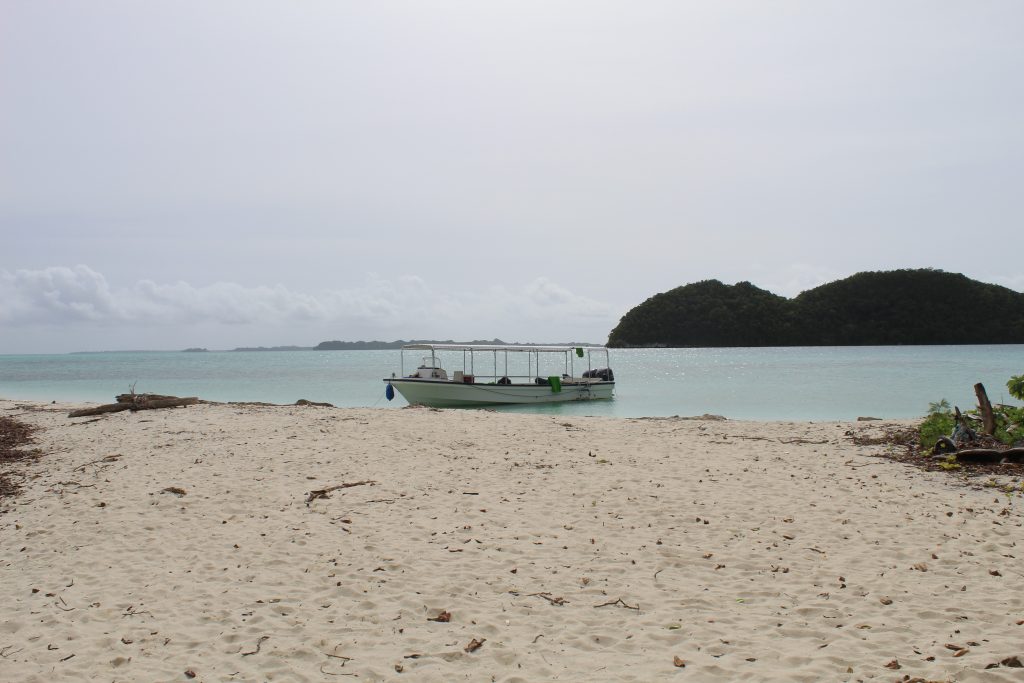 Travelling to Palau certainly involves some beaches