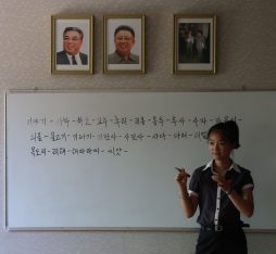 north korean tour cost