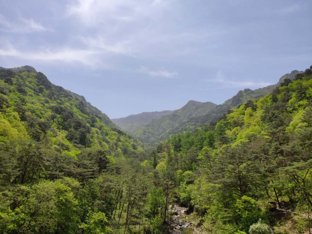 Holy Mountains of Korea