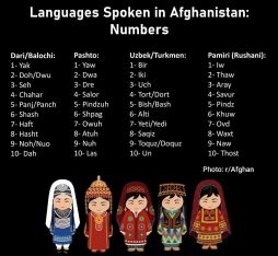 languages in afghanistan