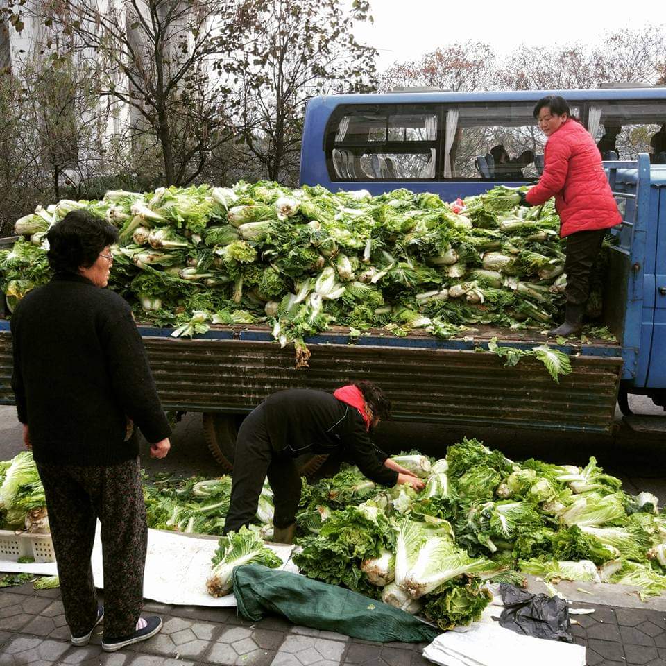 North Korean Kimchi