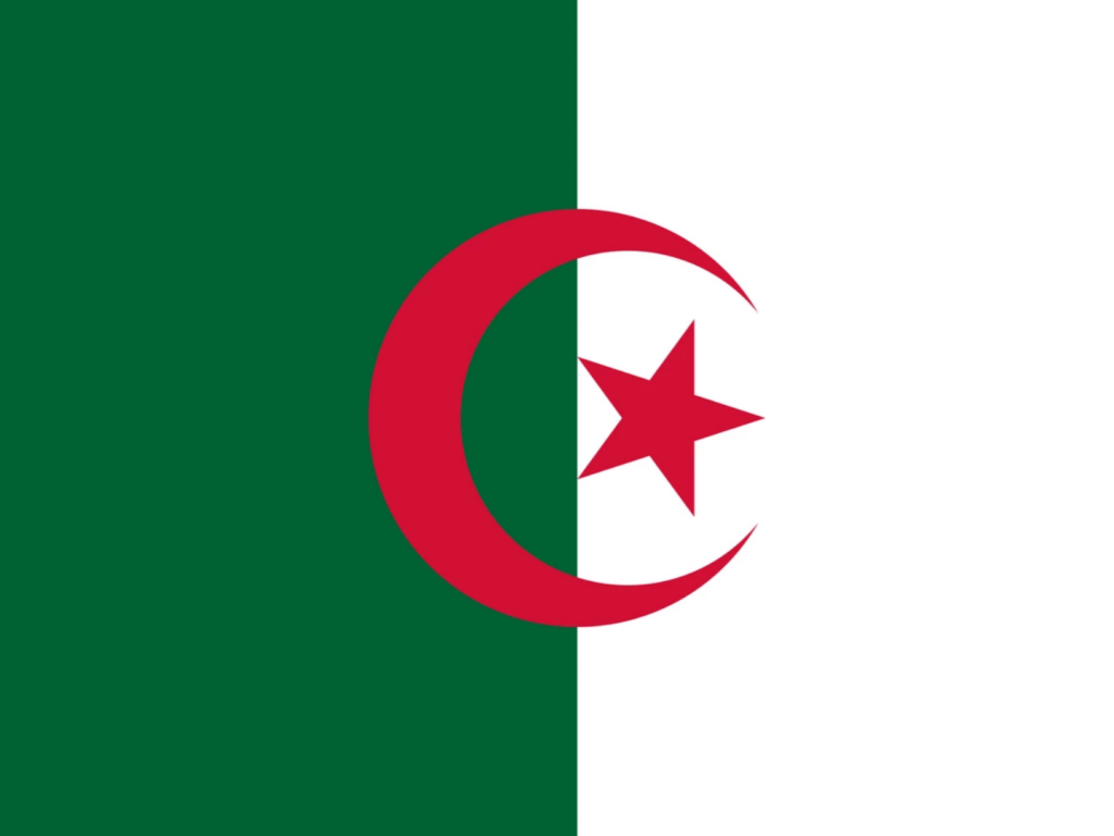 flag of algeria