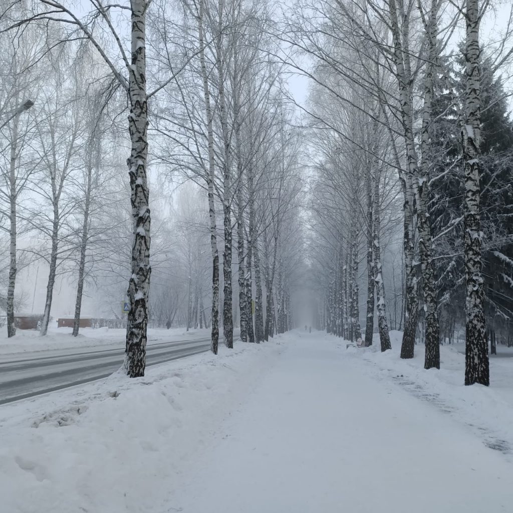 Siberian Winter