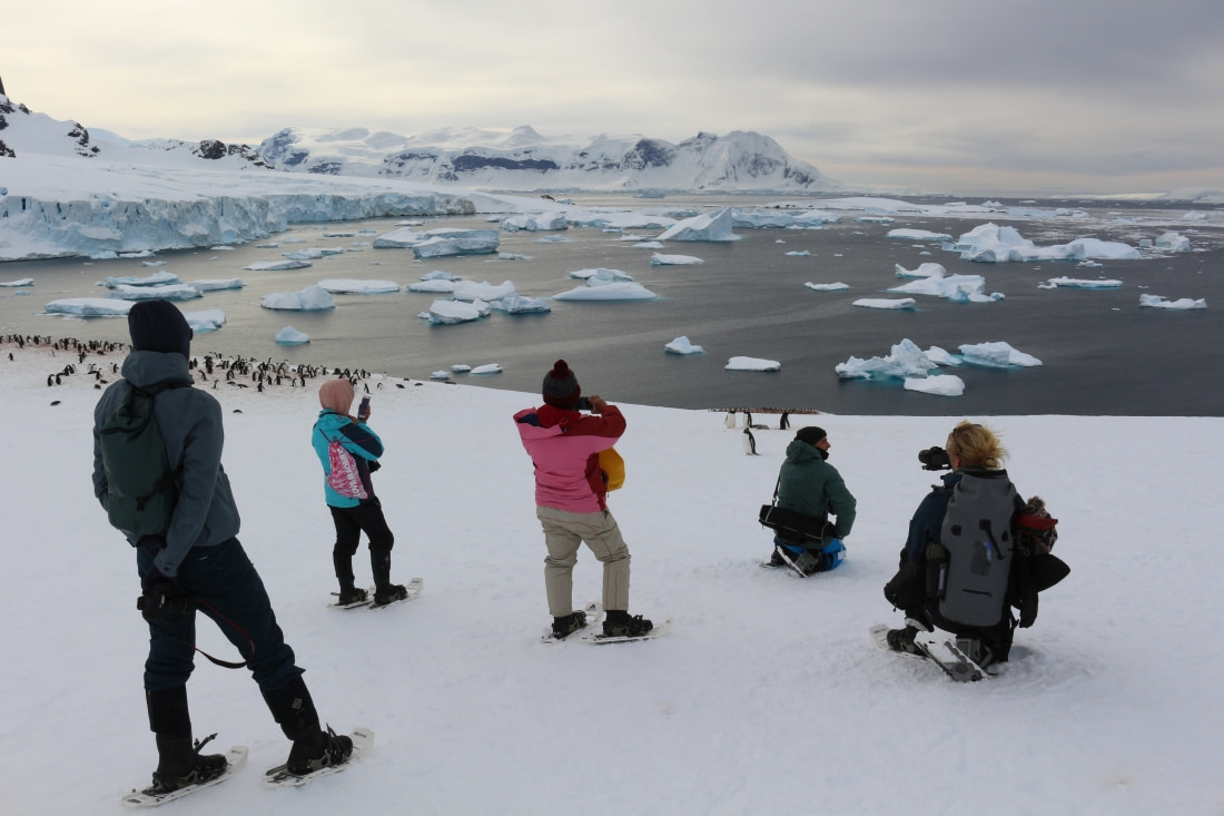 Polar Cruises 