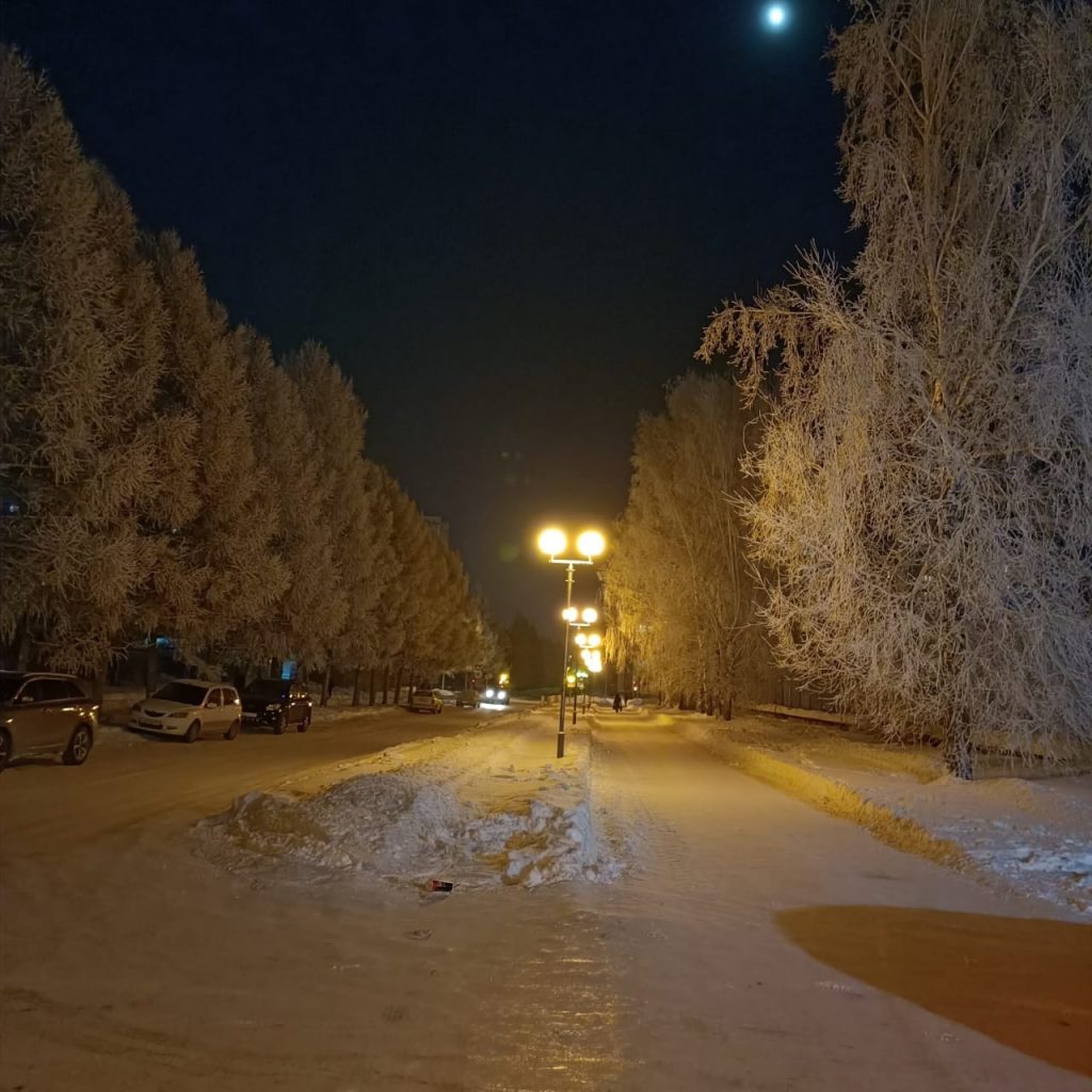 Siberian Winter at night