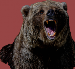 National Animals of the Soviet Union