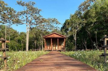 Jungle Glamping