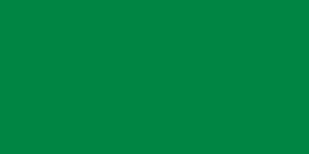 Libyan Green Flag