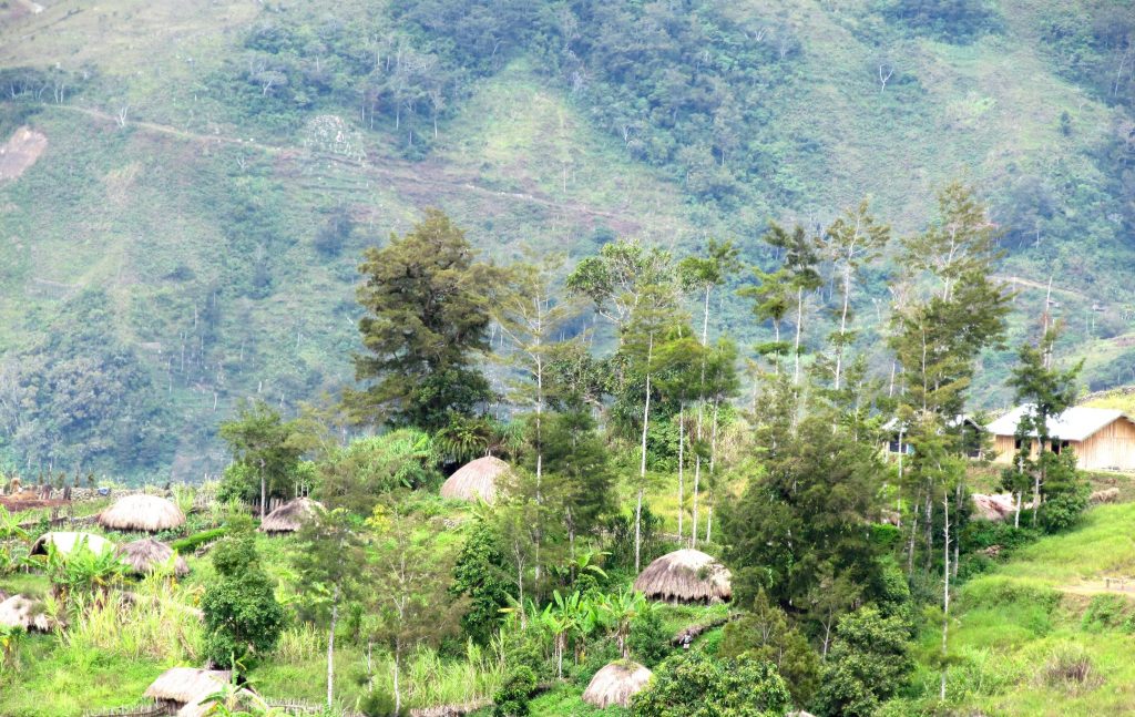 West Papua Tours