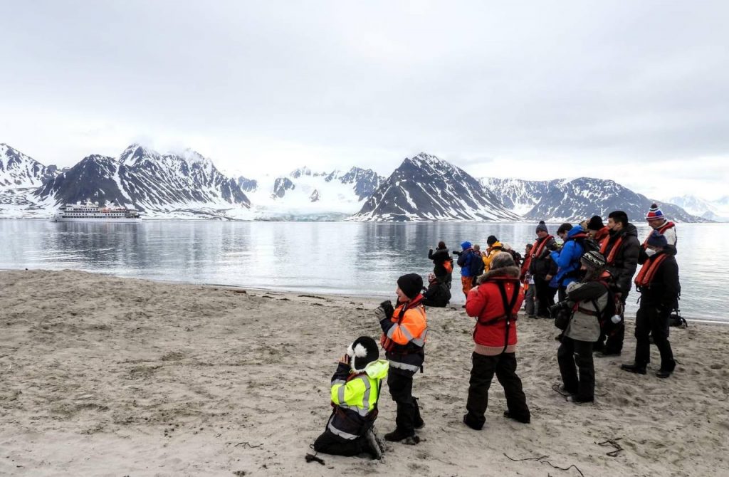 What animals can you see in Svalbard