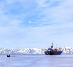 What animals can you see in Svalbard