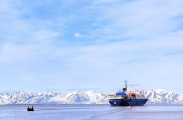 What animals can you see in Svalbard